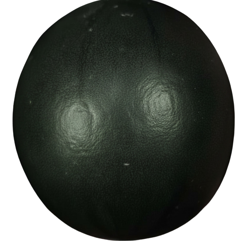 Black sphere with reflective surface on a white background