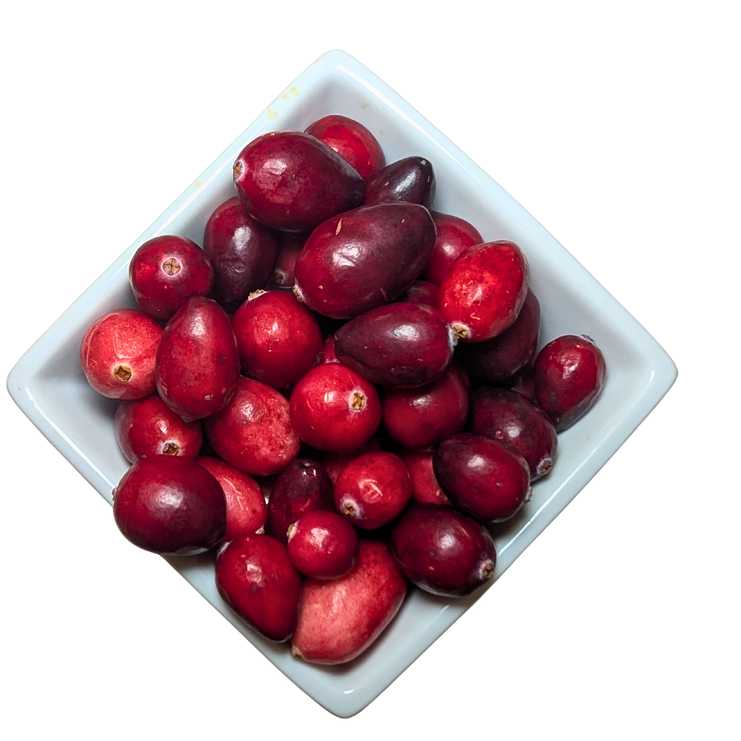 White square bowl filled with red cranberries on a white background