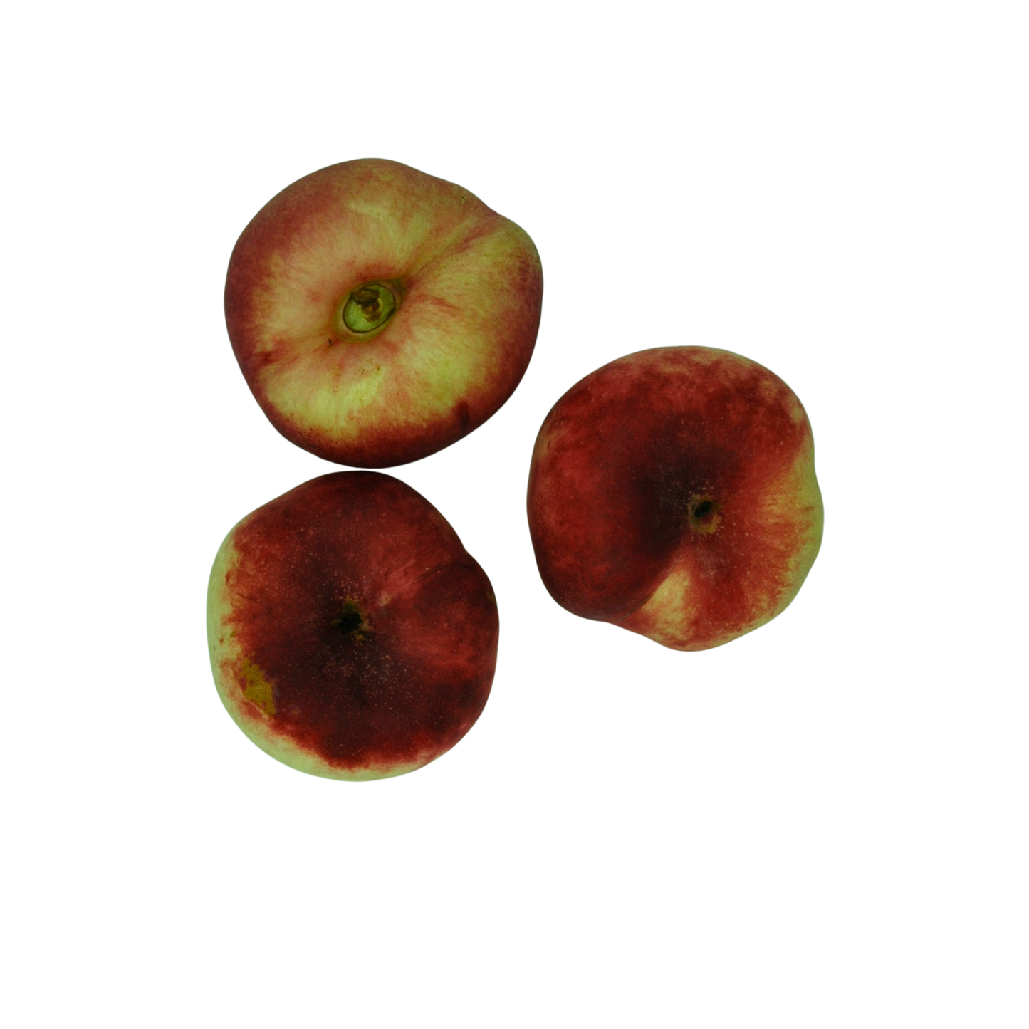 flat nectarines on a white back ground