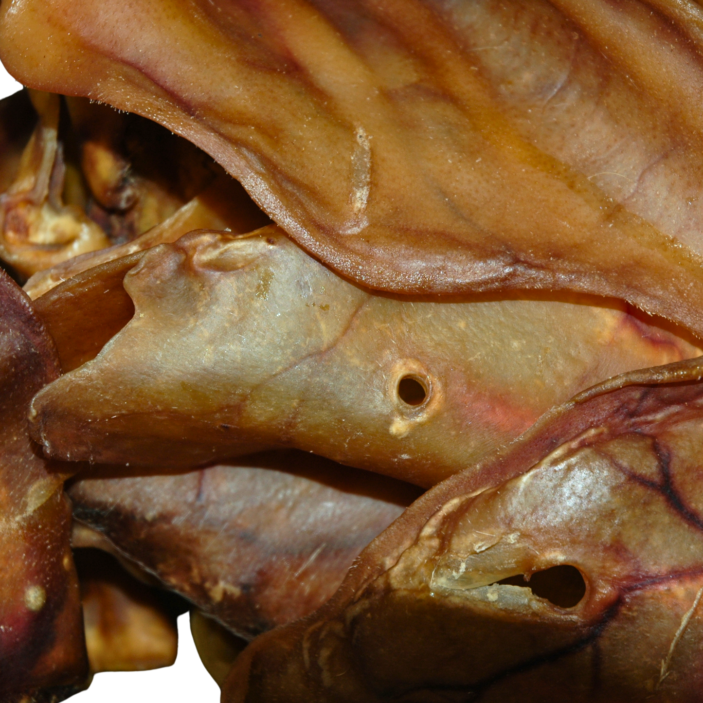 Close-up of a dried pigs ear on a white background