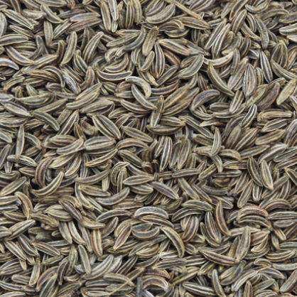 Caraway Seeds image 0