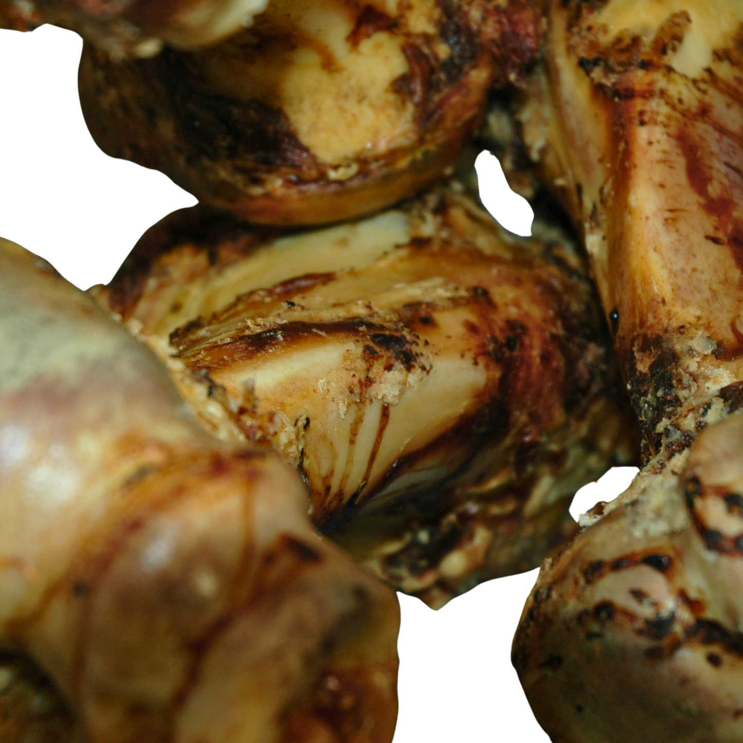 Close-up of beef bones on a white background