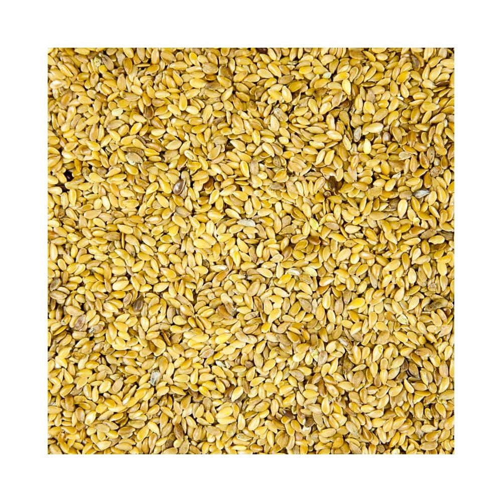 Close-up of yellow seeds on a white background