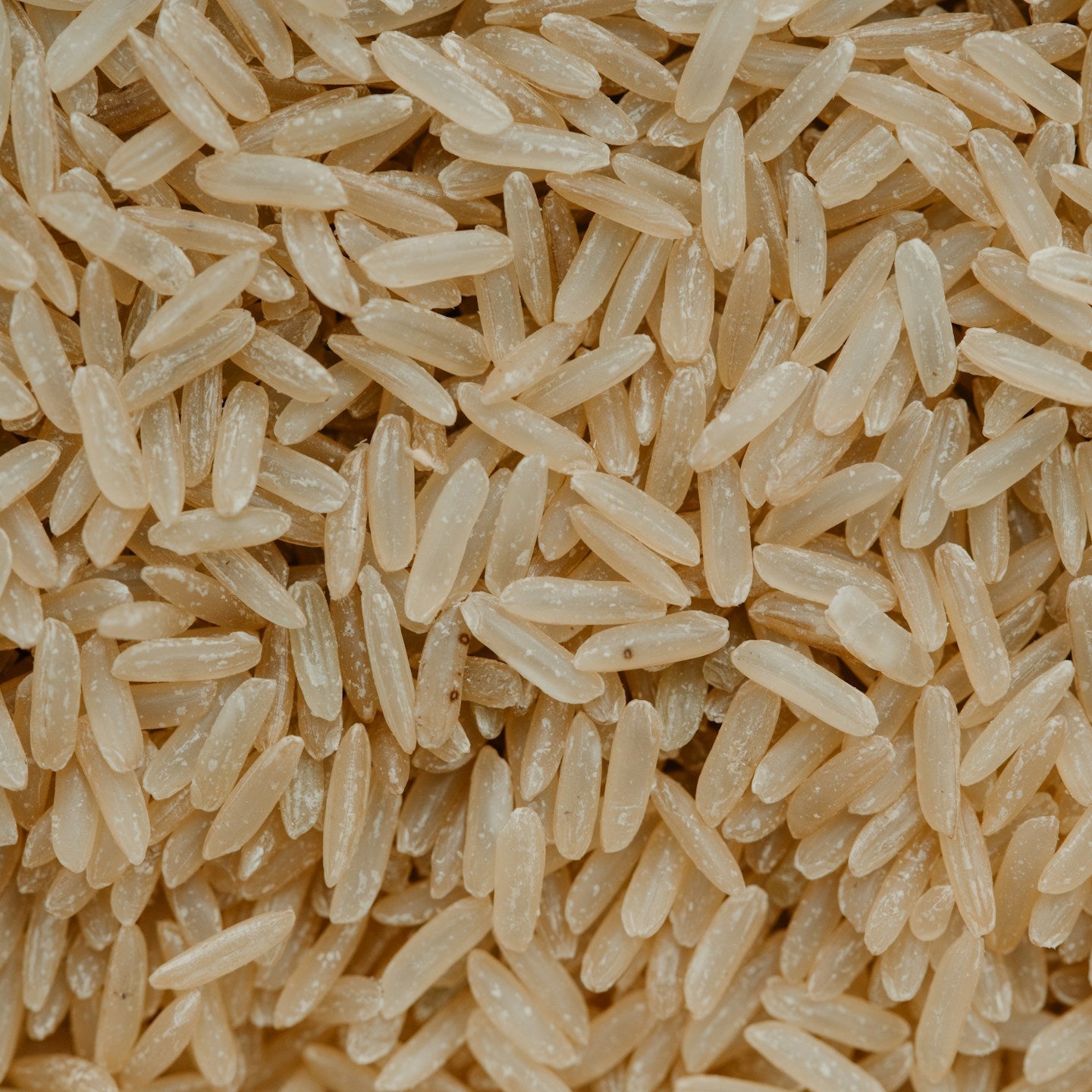 Close-up of brown rice grains