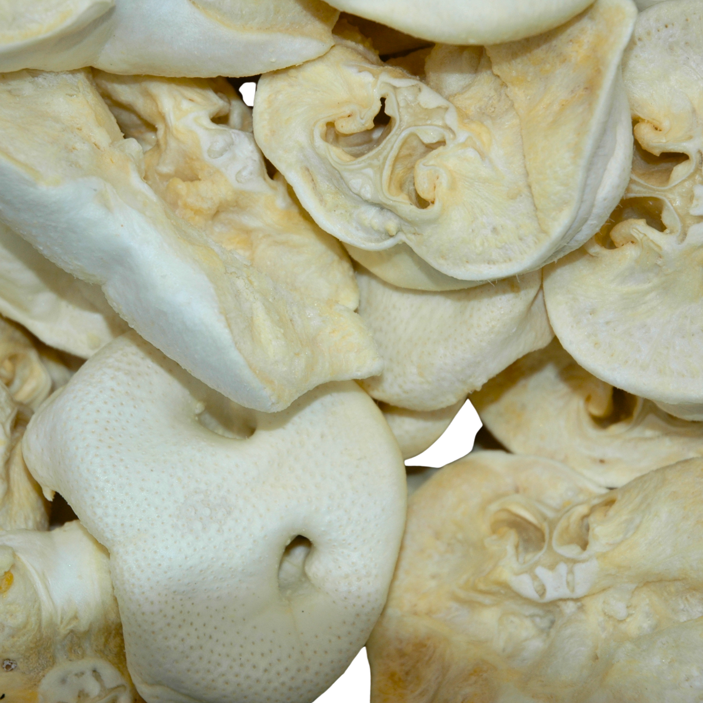 Close-up of dried pig snouts on a white background