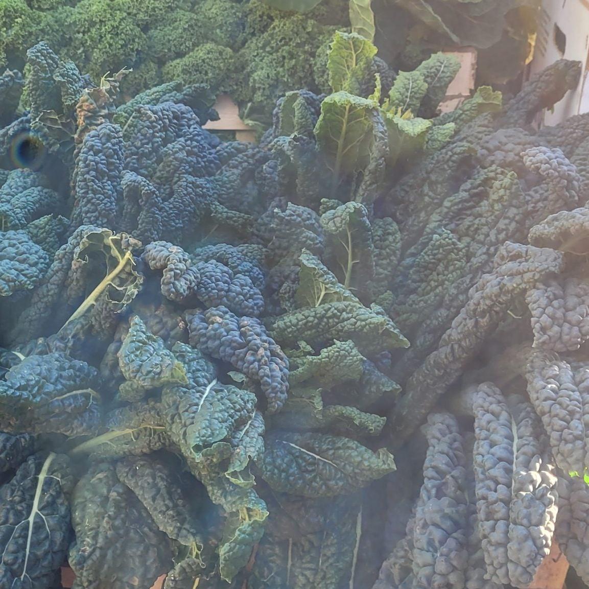 Cavallo Nero min weight 300g image 0