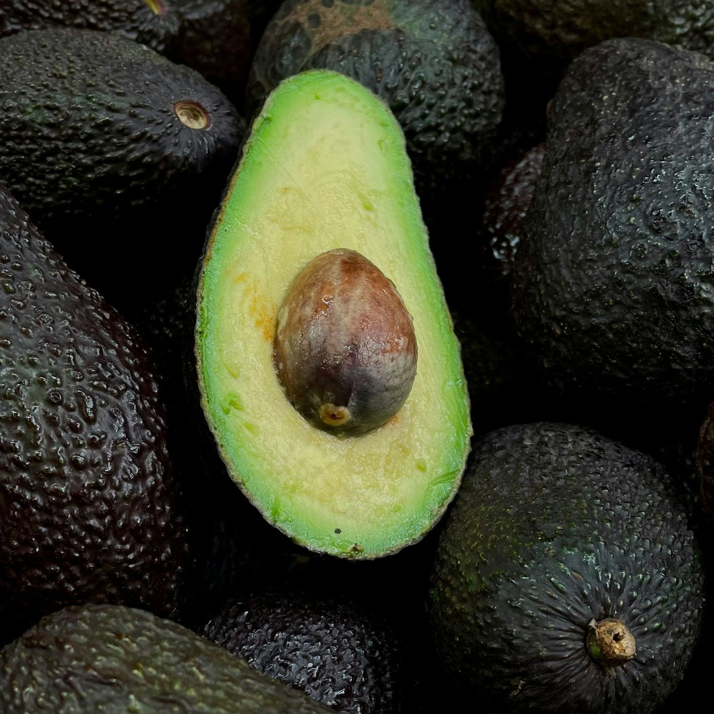 Avocado