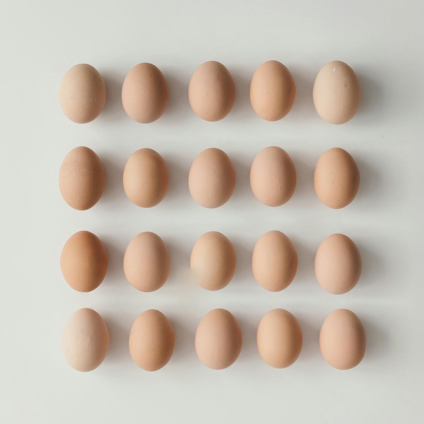 Free Range Eggs Whole Tray