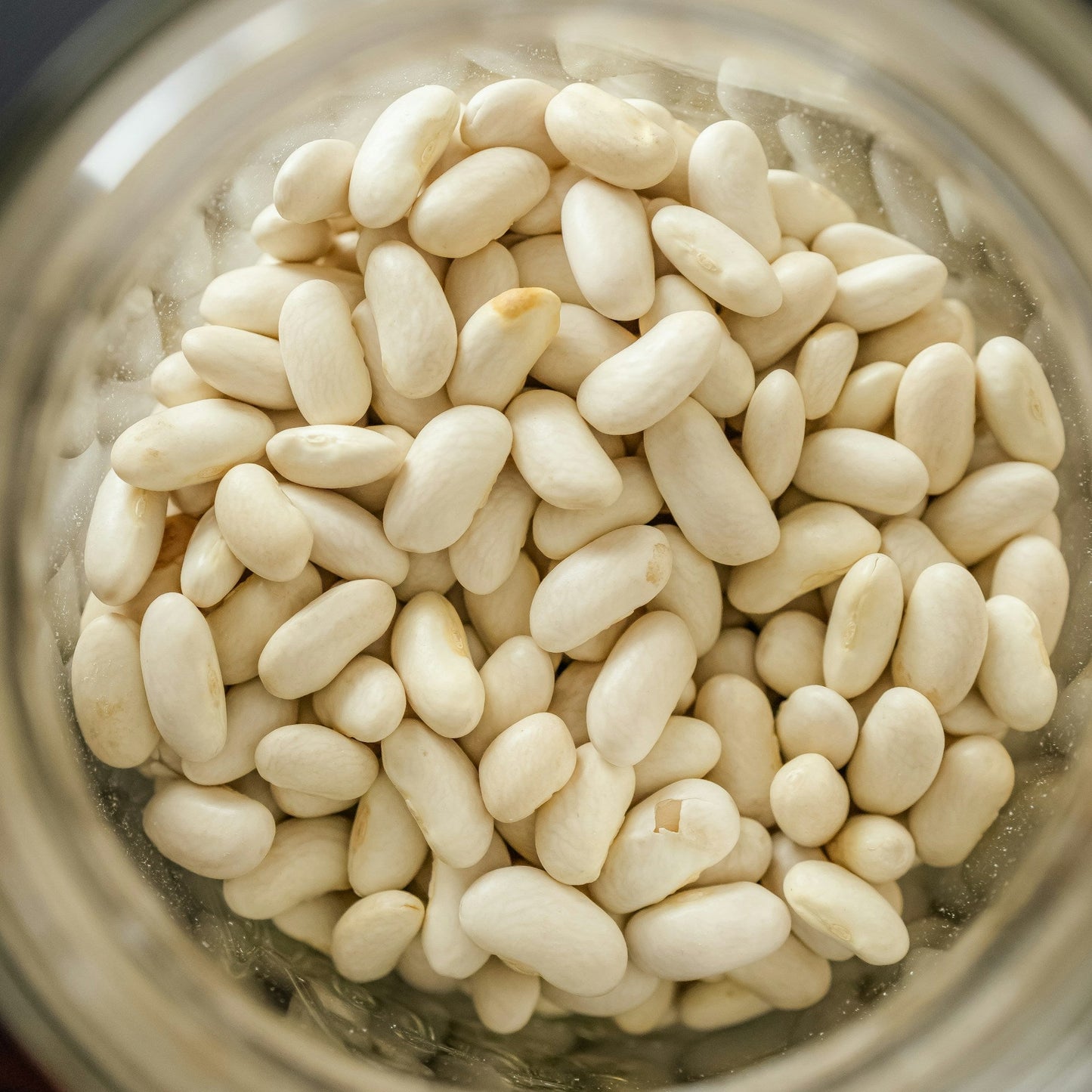 Haricot Beans Dried 500g
