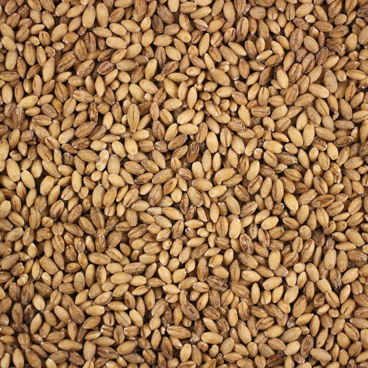 Scottish Pearl Barley refill 500g