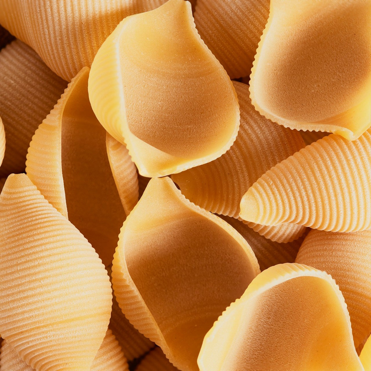 Close-up of shell-shaped pasta