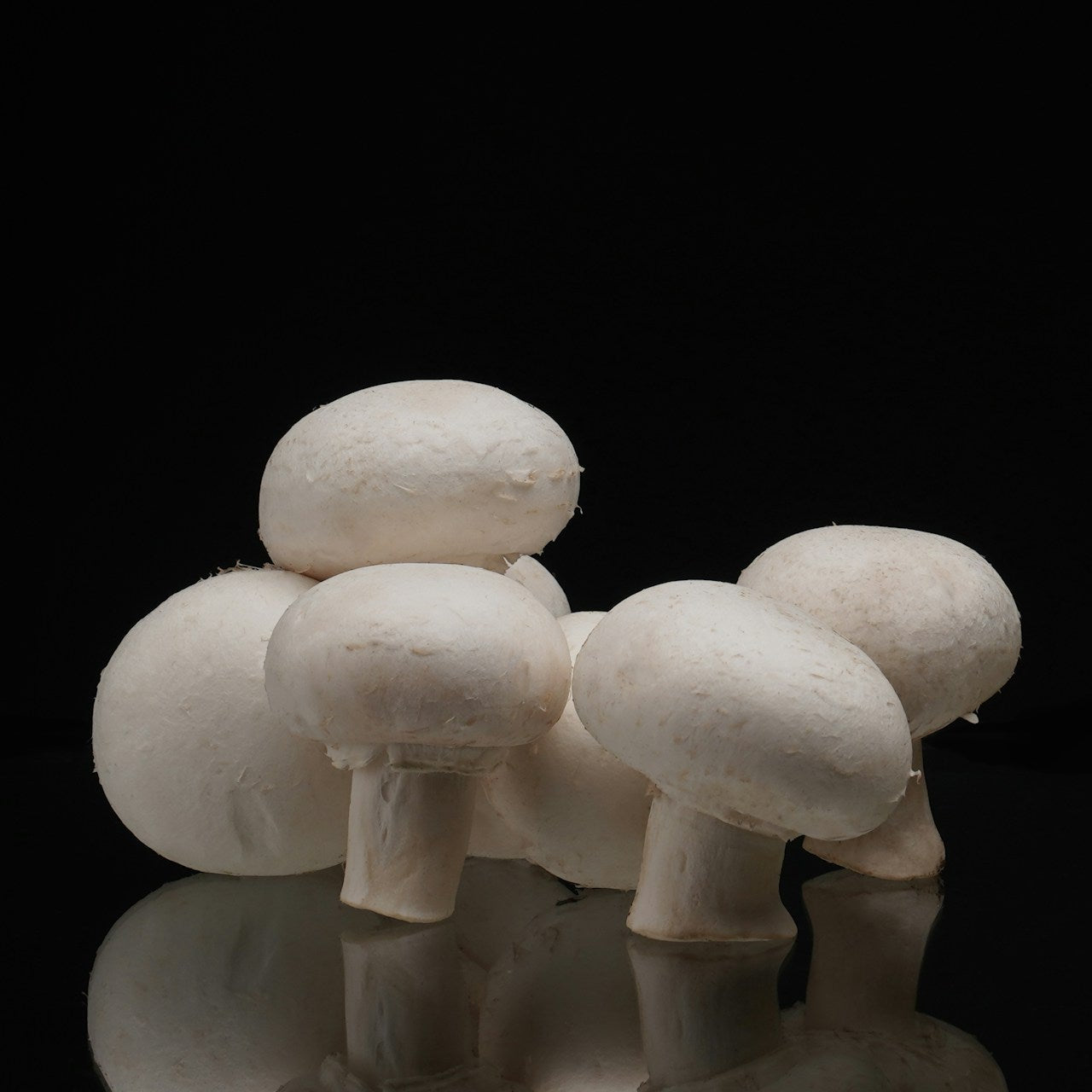 White mushrooms on a reflective black surface with a black background