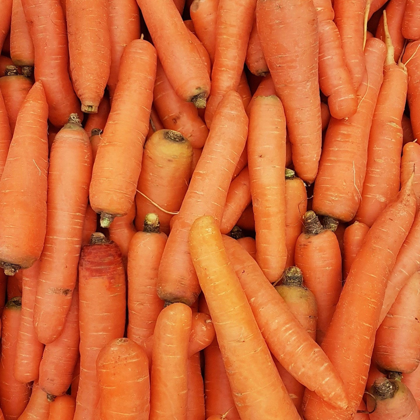 Carrots Loose 500g