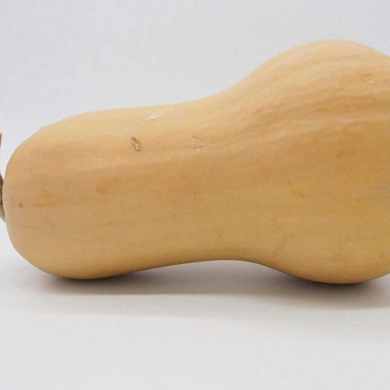 Butternut Squash individual