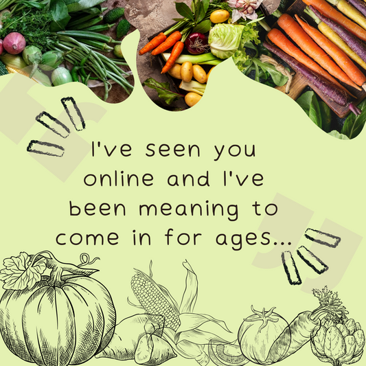 Small Business Saturday at Molly’s Pantry: Shop, Snack, and Support Local!