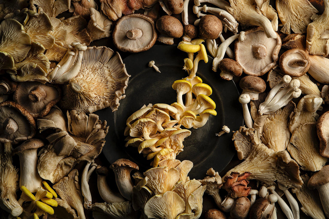 Working with Local Food Photographers to create art.