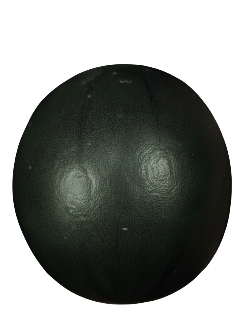 Black sphere with reflective surface on a white background