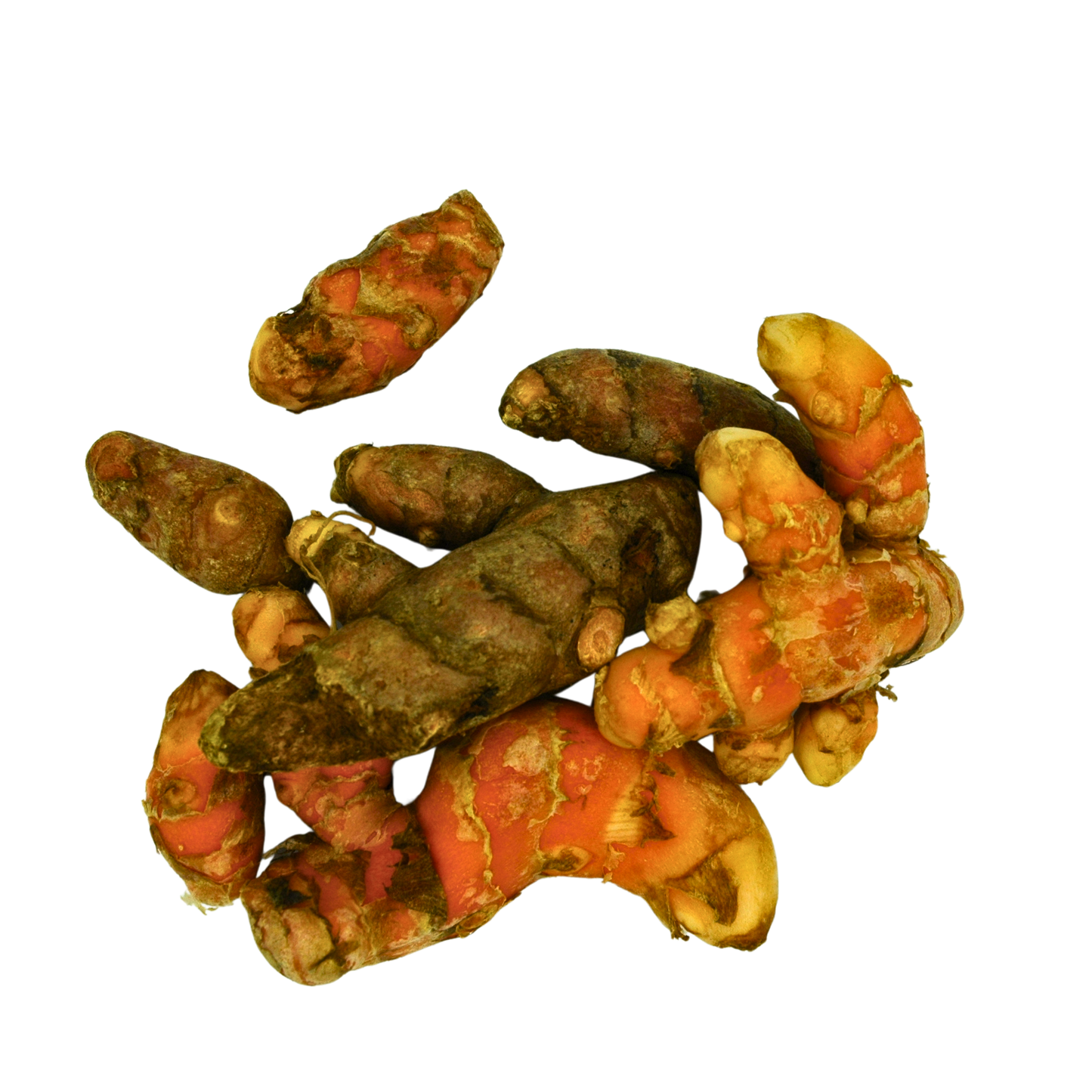 Turmeric roots on a white background