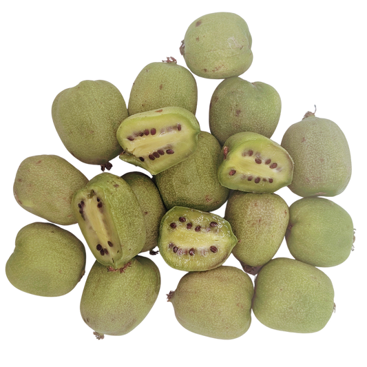 Green kiwi fruits on a white background