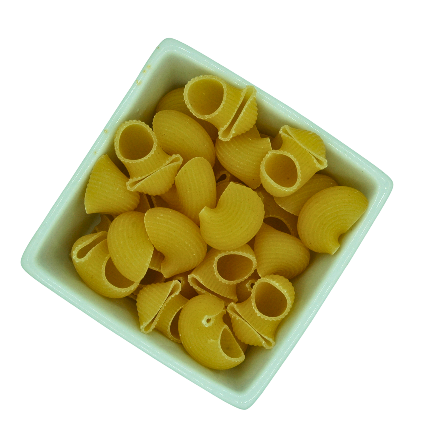 Yellow shell pasta in a white bowl on a white background