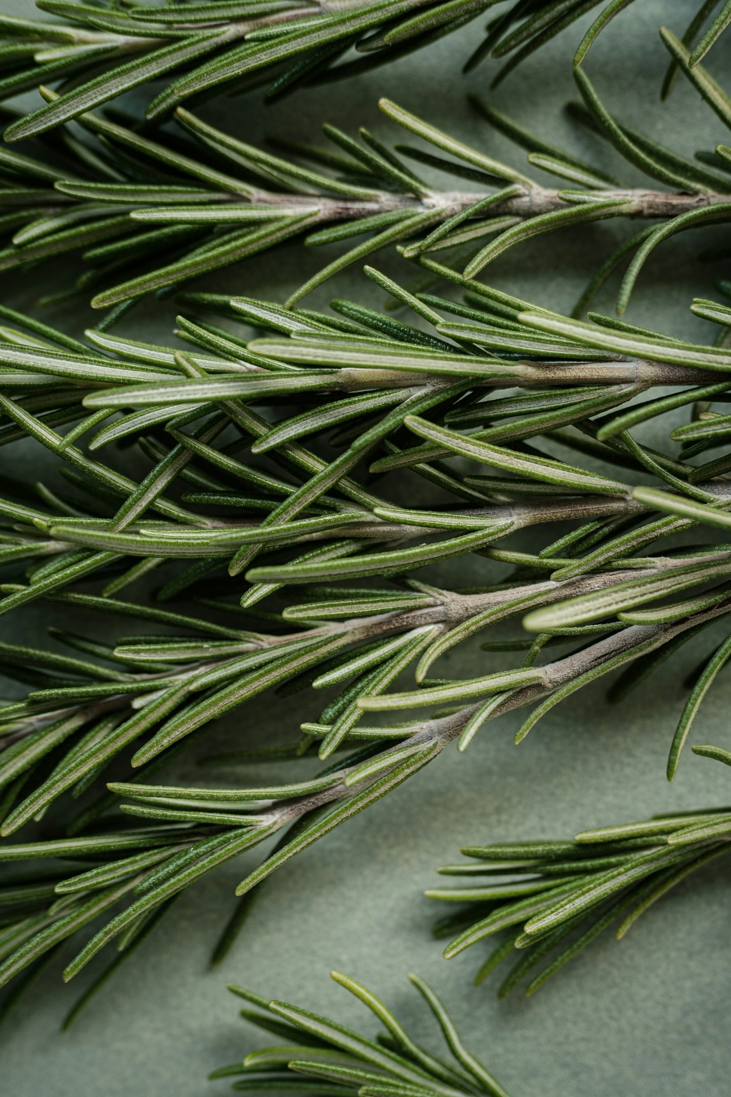 Fresh Rosemary min 100g