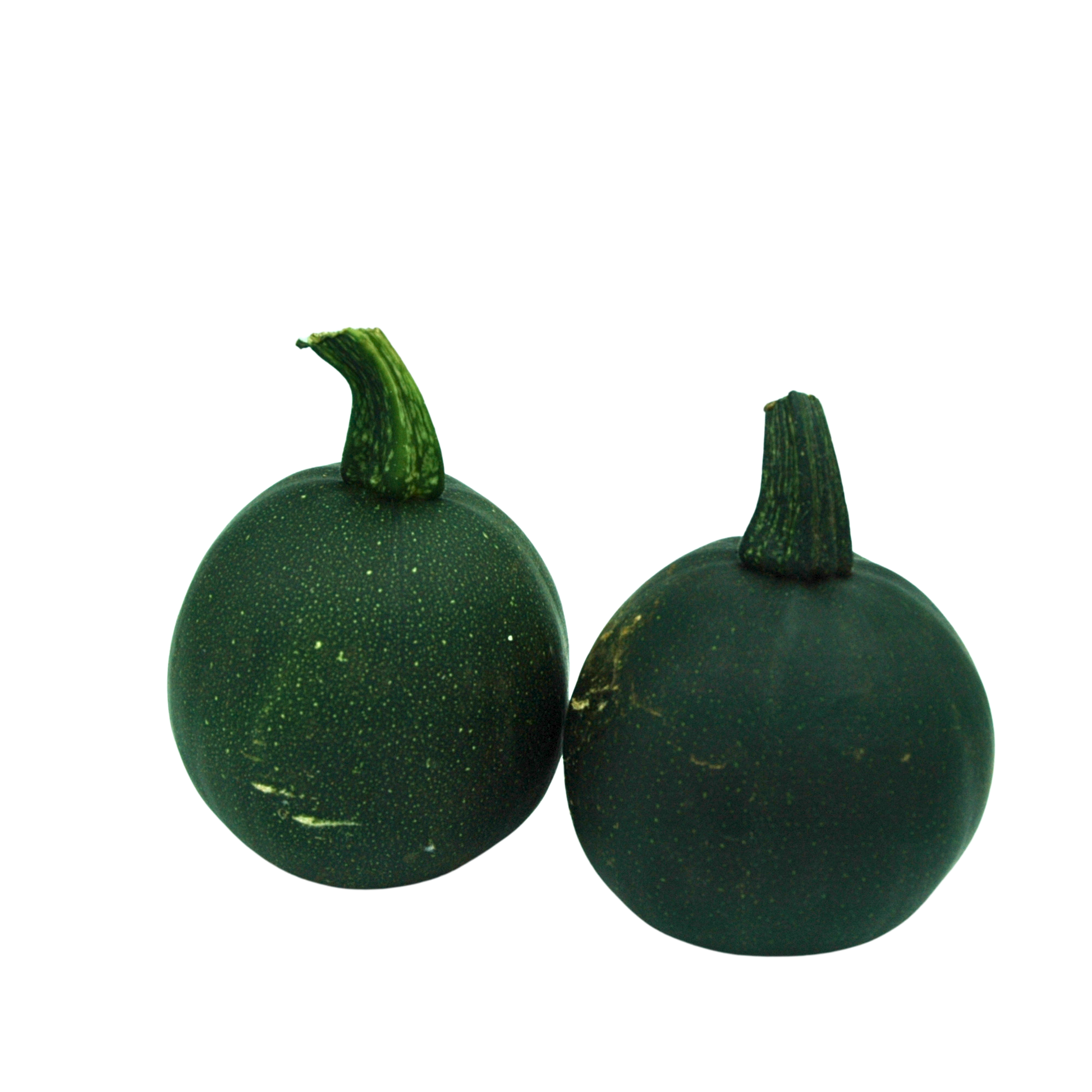 Two green gem squash with stems on a white background