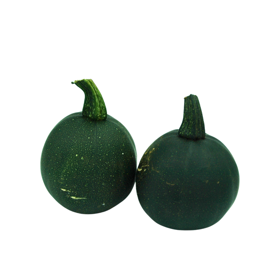Two green gem squash with stems on a white background