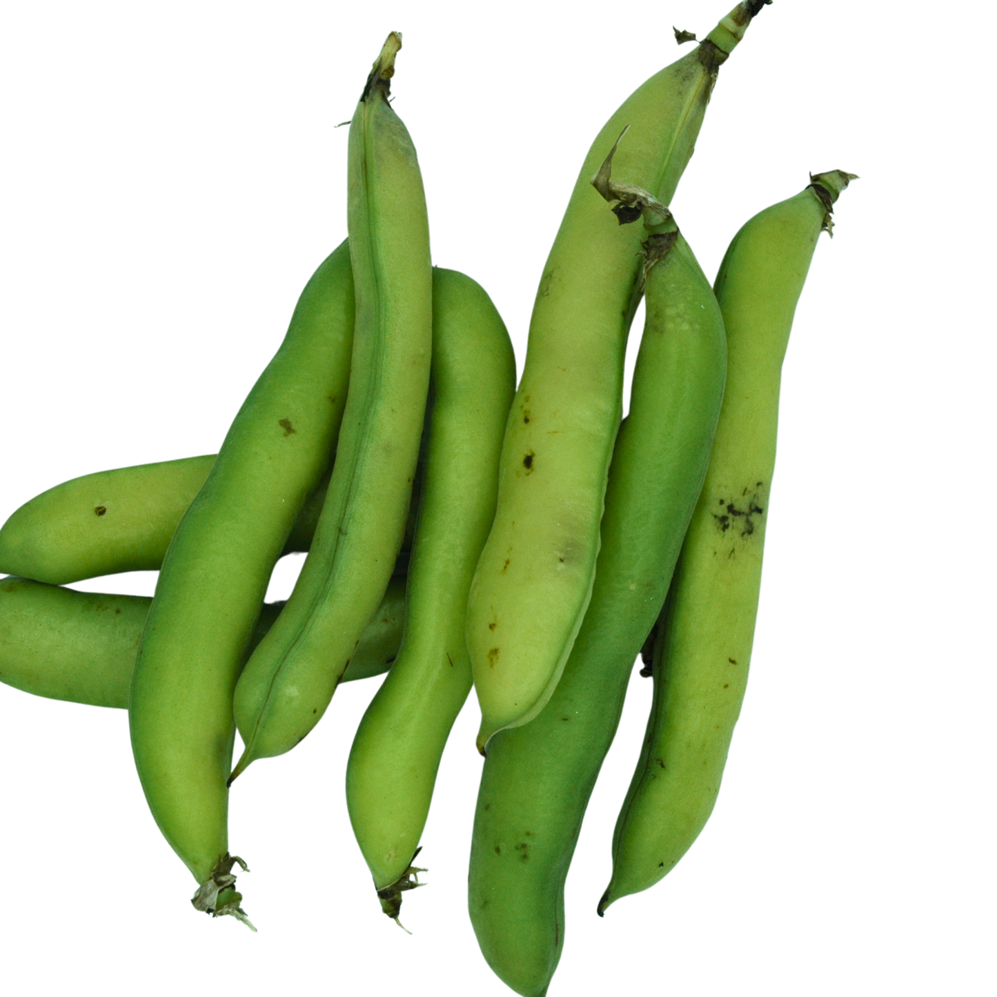 Broad Beans in pod 500g
