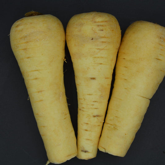 Parsnips image 0