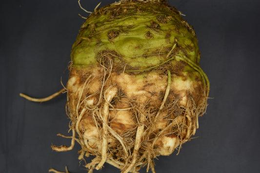Celeriac image 0