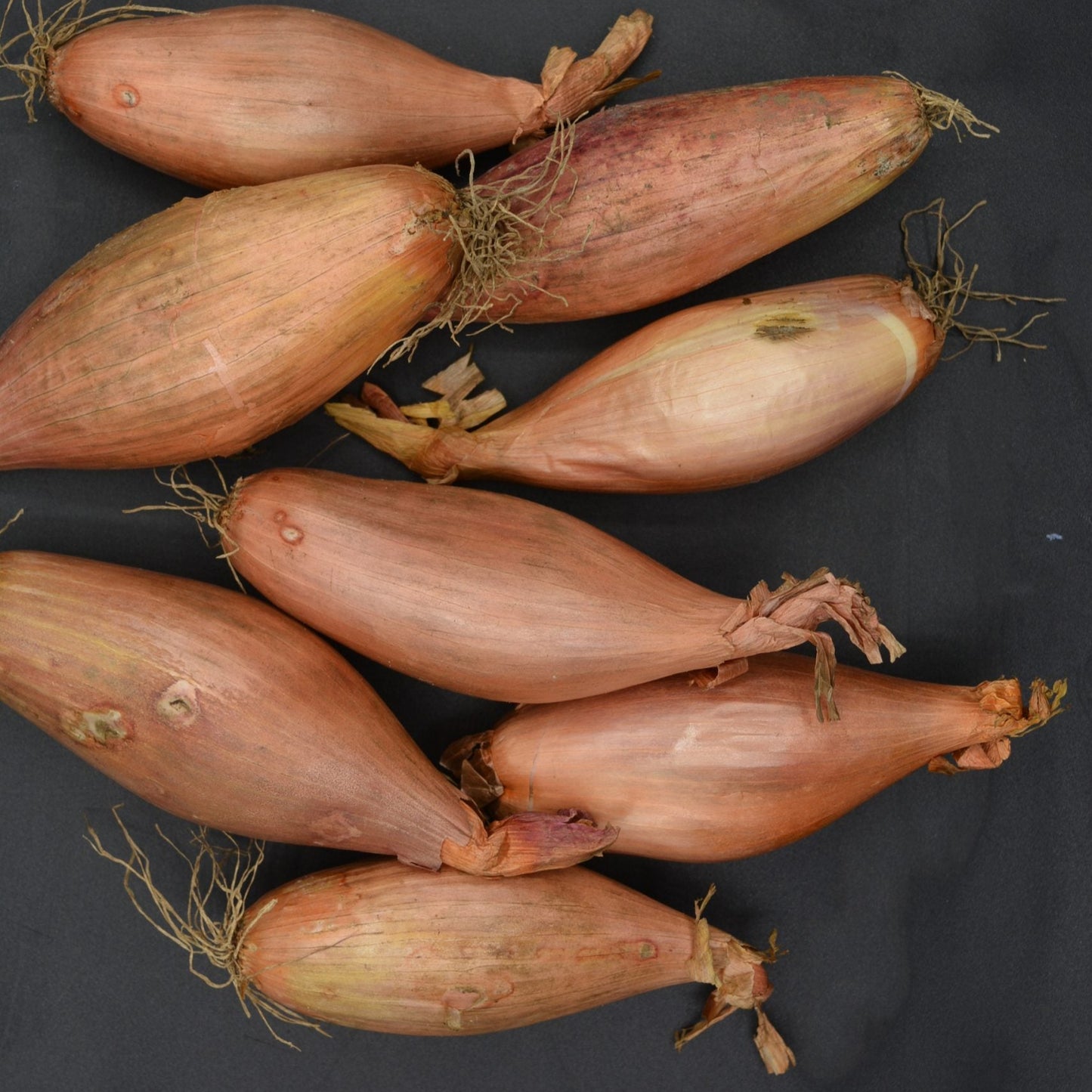 Shallots image 0