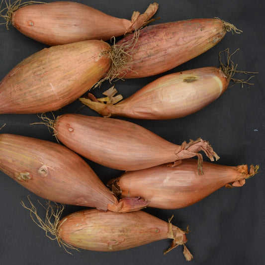 Shallots image 0