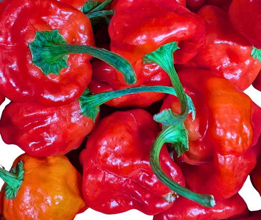 Close-up of red scotch bonnets peppers with green stems on a white background