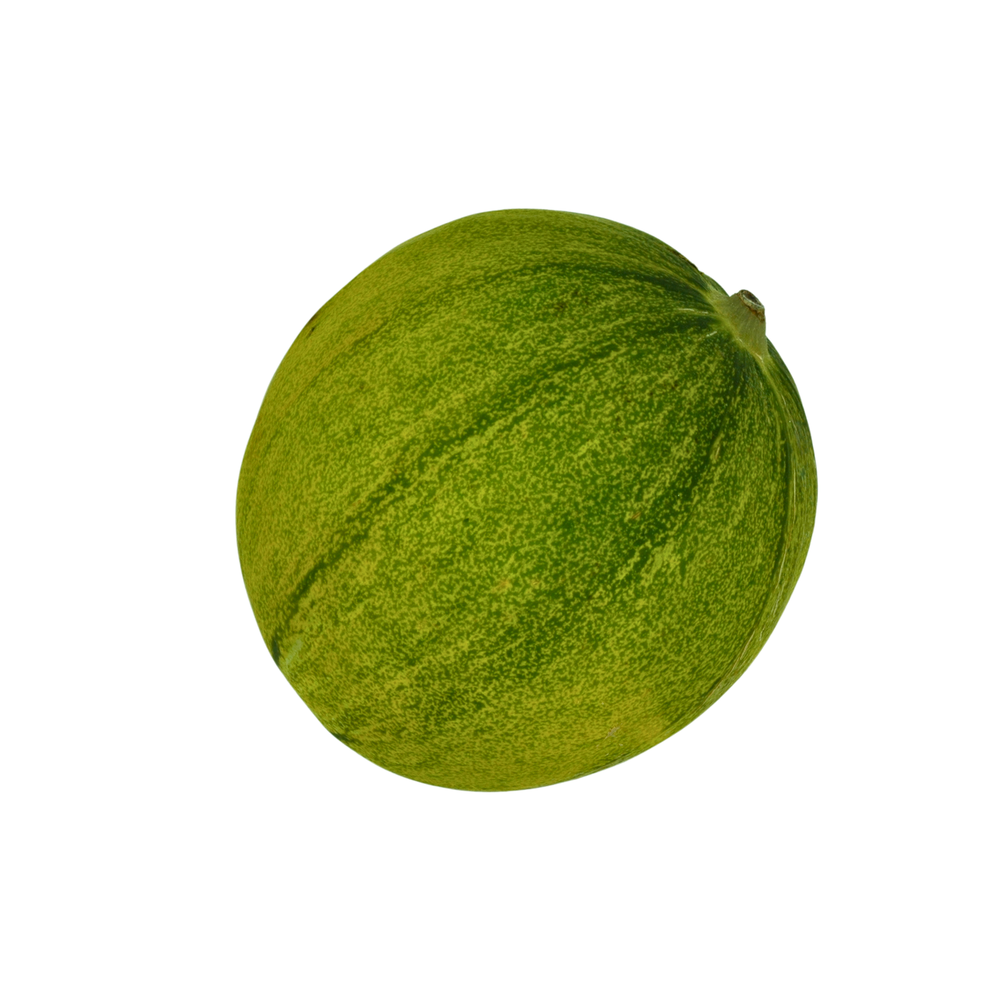 Green melon on a white background
