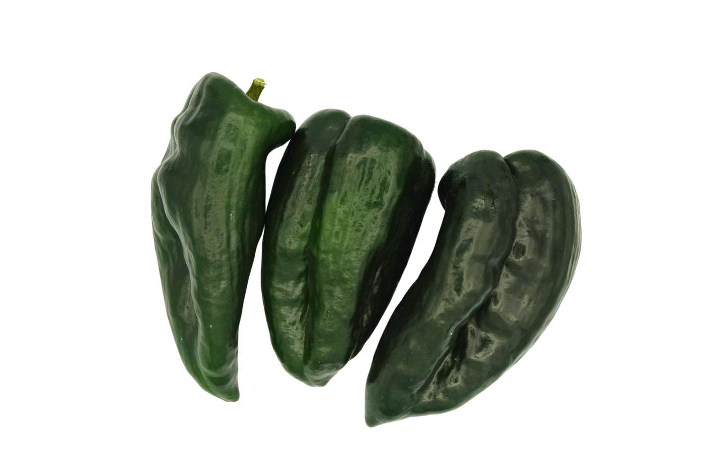Three green poblano peppers on a white background
