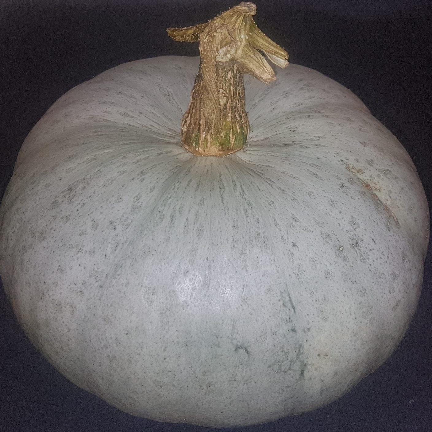 Crown Prince Pumpkin image 0