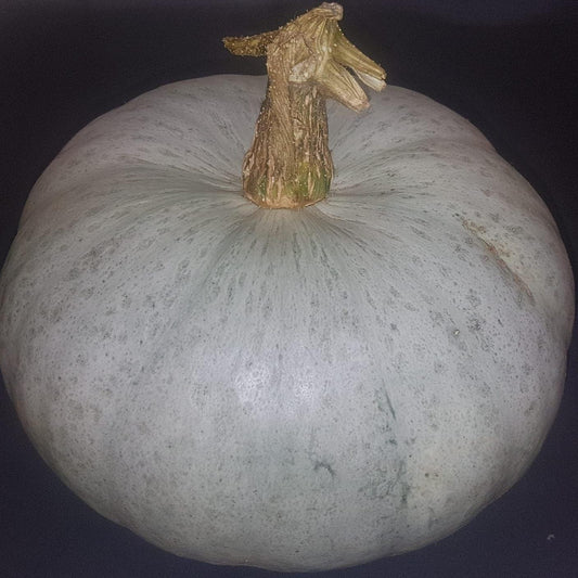 Crown Prince Pumpkin image 0