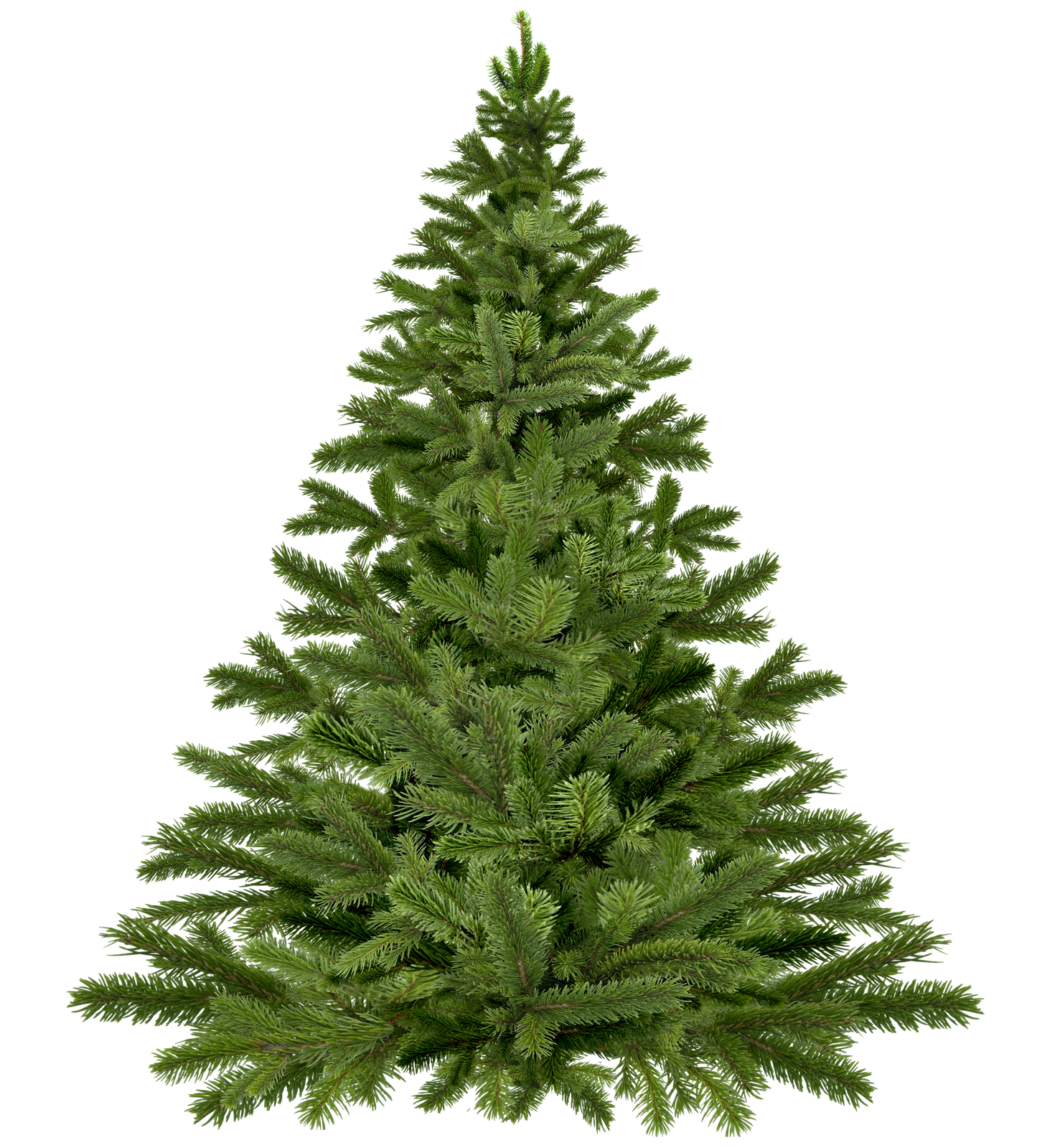 Christmas Tree image 2