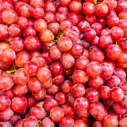 Close-up of red grapes