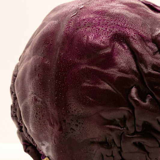Close-up of a purple cabbage on a white background