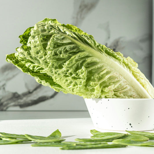 Green leafy lettuce in a white bowl on a marble countertop
