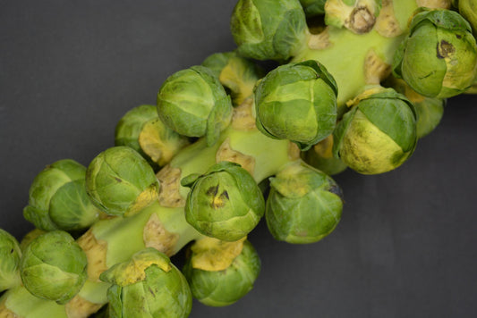 Brussels Sprouts image 0