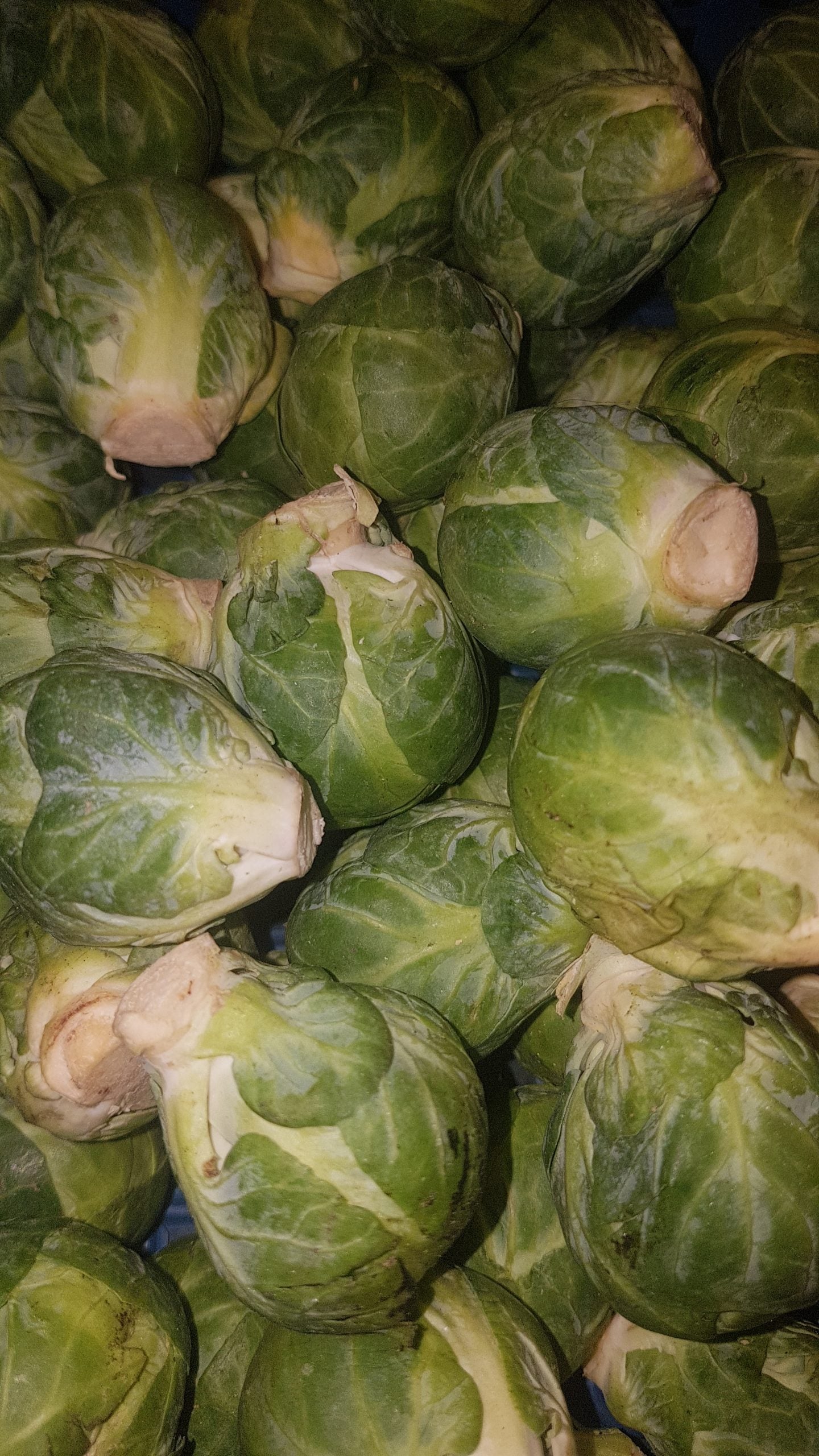 Brussels Sprouts image 1