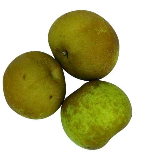 Three green apples on a white background
