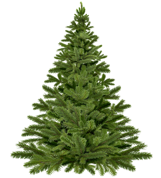 Christmas Tree image 0