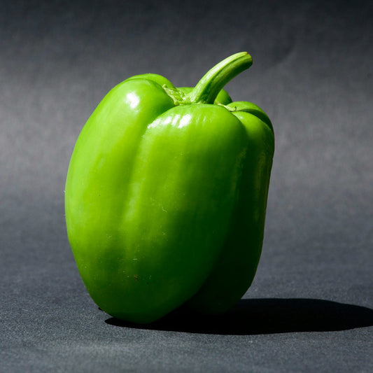 Green bell pepper on a dark gray background