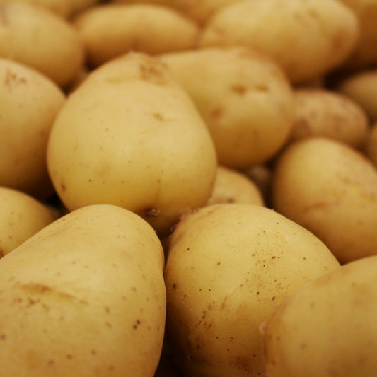 Close-up of a pile of yellow potatoes