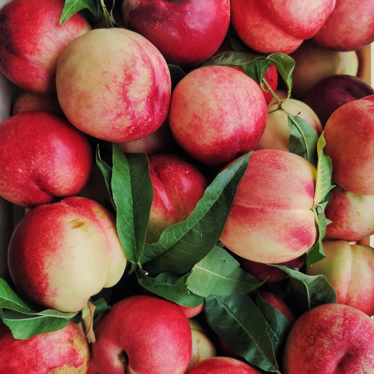 Box of red and yellow necterines with green leaves.