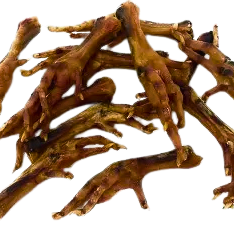 chicken feet on a white background