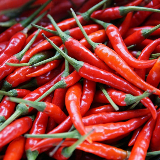 Finger Chillies 100g